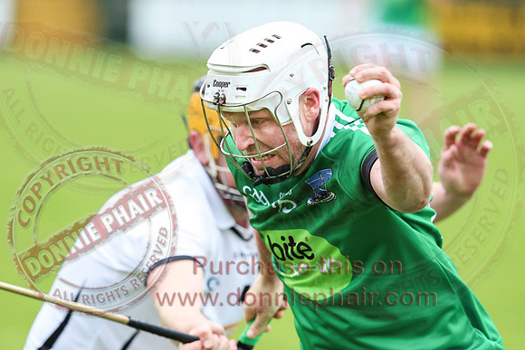 Fermanagh (3-12) V Warwickshire (2-07) in Lory Meagher Hurling Cup.
