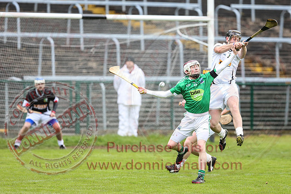 Fermanagh (3-12) V Warwickshire (2-07) in Lory Meagher Hurling Cup.