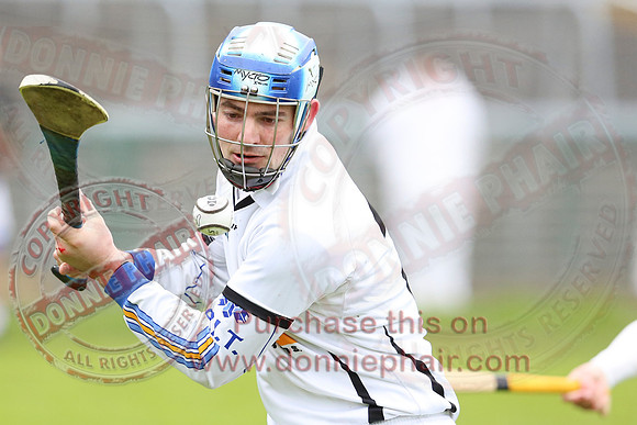 Fermanagh (3-12) V Warwickshire (2-07) in Lory Meagher Hurling Cup.