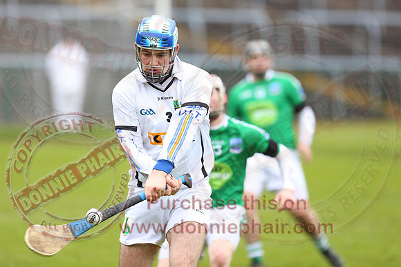 Fermanagh (3-12) V Warwickshire (2-07) in Lory Meagher Hurling Cup.