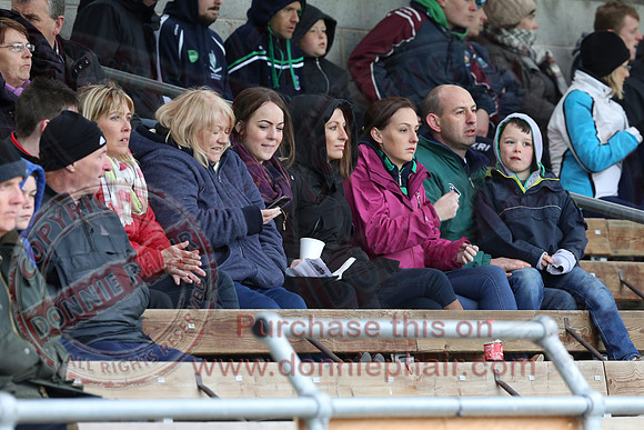 Fermanagh (3-12) V Warwickshire (2-07) in Lory Meagher Hurling Cup.