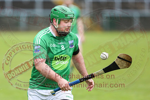 Fermanagh (3-12) V Warwickshire (2-07) in Lory Meagher Hurling Cup.