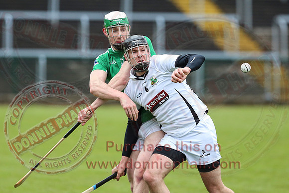 Fermanagh (3-12) V Warwickshire (2-07) in Lory Meagher Hurling Cup.