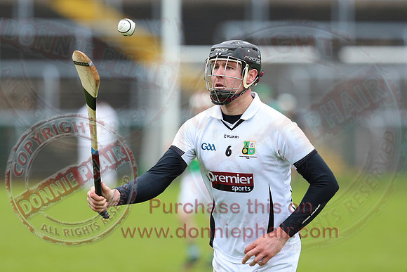 Fermanagh (3-12) V Warwickshire (2-07) in Lory Meagher Hurling Cup.
