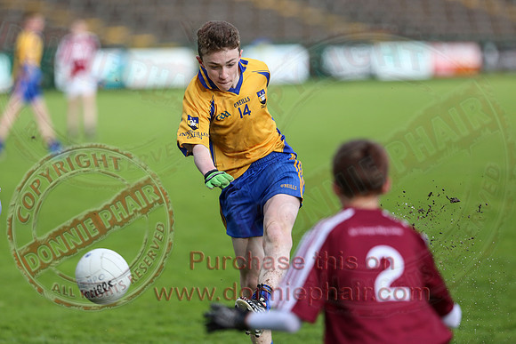 Enniskillen Gaels (11-12) V Tempo Maguires (2-04) in U14 Feile Na Nog Final.