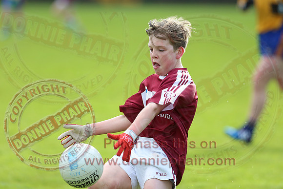 Enniskillen Gaels (11-12) V Tempo Maguires (2-04) in U14 Feile Na Nog Final.