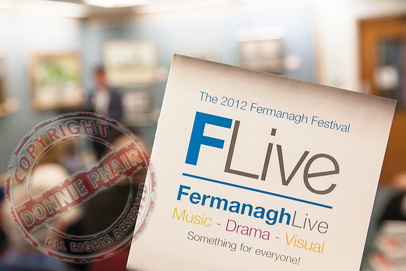 Fermanagh Creative Writers Reading and Discussion in Enniskillen Library.