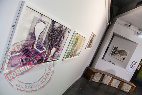 Higher Bridges Gallery in Enniskillen showing the works of Alfonso Lopez Monreal