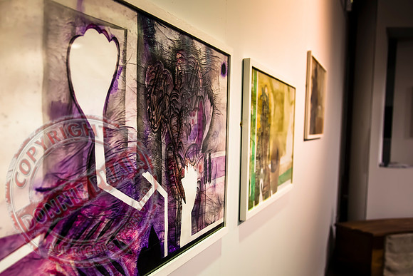 Higher Bridges Gallery in Enniskillen showing the works of Alfonso Lopez Monreal