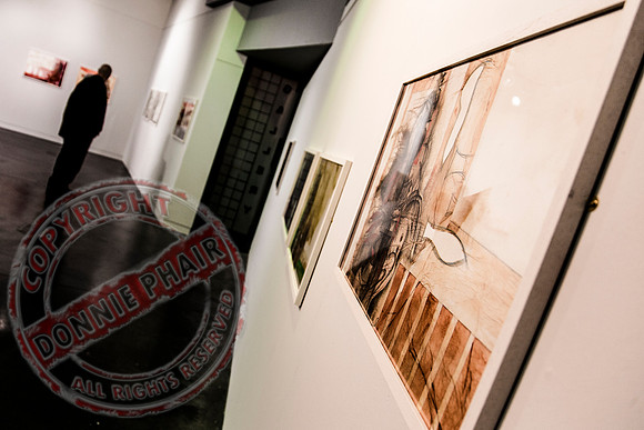 Higher Bridges Gallery in Enniskillen showing the works of Alfonso Lopez Monreal