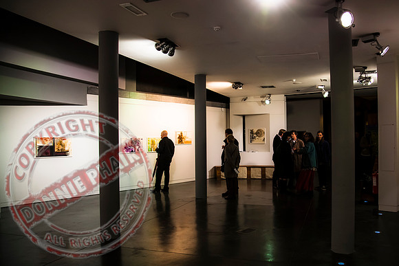 Higher Bridges Gallery in Enniskillen showing the works of Alfonso Lopez Monreal