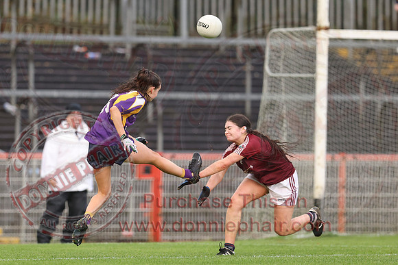 Derrygonnelly (2-11) V Castlerahan (2-06) in Ulster Ladies Intermediate GAA Football Final -44