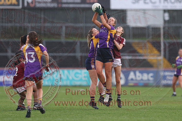 Derrygonnelly (2-11) V Castlerahan (2-06) in Ulster Ladies Intermediate GAA Football Final -56