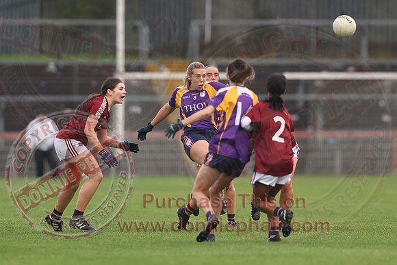 Derrygonnelly (2-11) V Castlerahan (2-06) in Ulster Ladies Intermediate GAA Football Final -61
