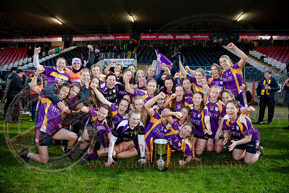 Derrygonnelly (2-11) V Castlerahan (2-06) in Ulster Ladies Intermediate GAA Football Final -91