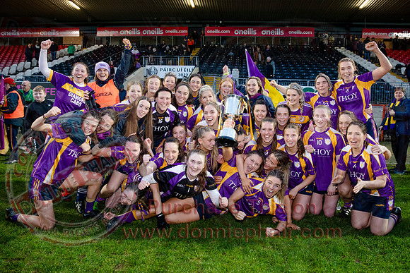 Derrygonnelly (2-11) V Castlerahan (2-06) in Ulster Ladies Intermediate GAA Football Final -90