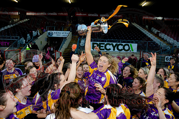 Derrygonnelly (2-11) V Castlerahan (2-06) in Ulster Ladies Intermediate GAA Football Final -93