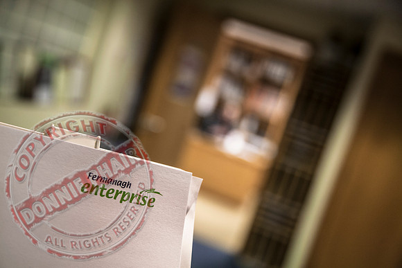Fermanagh Enterprise Ltd.