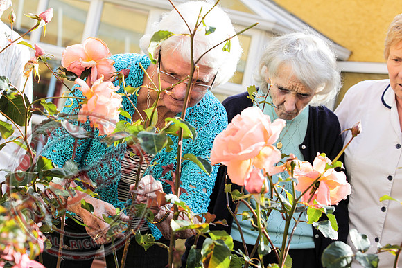 Belcoo Lakeland Community Care.