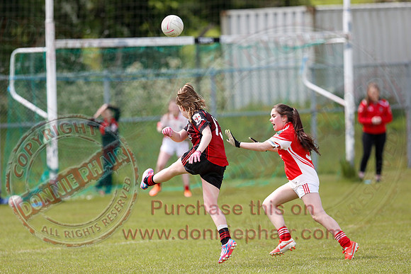 Brookeborough (6-13) V Newtownbutler (3-4) in Ladies Under 16 Division Three Final.