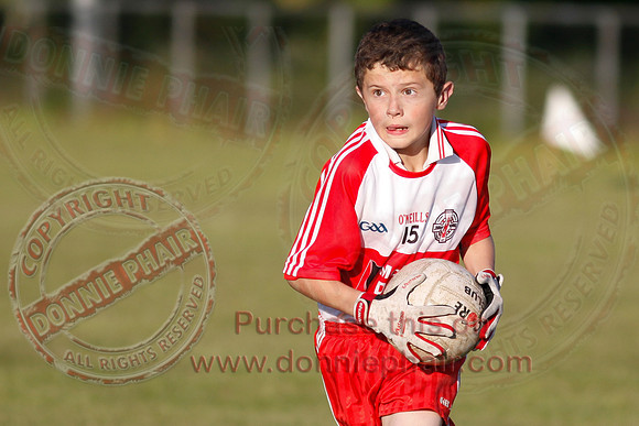 Newtownbutler (7-6) V St. Pat's Donagh (2-10) in Under 14 Division Four League Final.