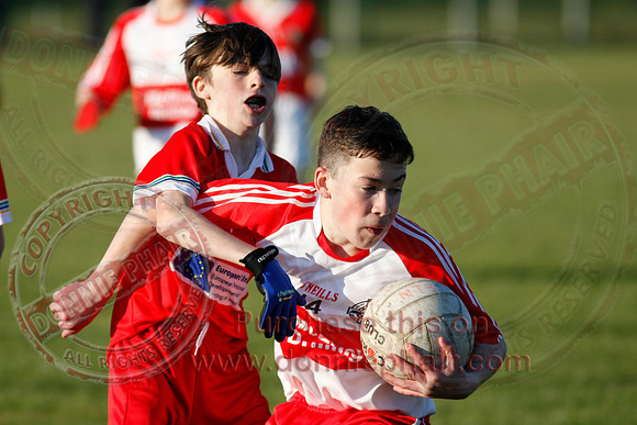 Newtownbutler (7-6) V St. Pat's Donagh (2-10) in Under 14 Division Four League Final.
