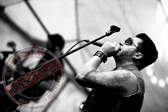Halfshot at Fortstock