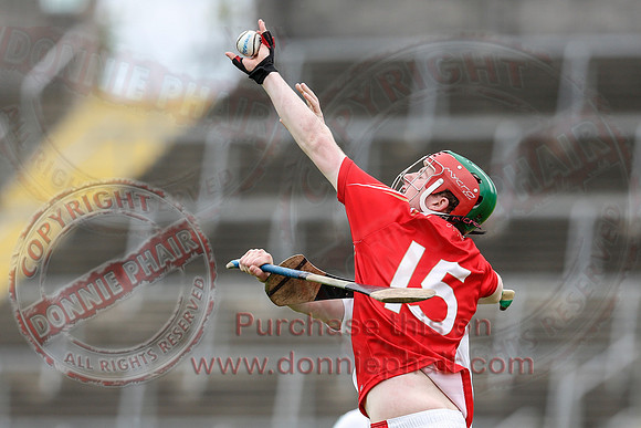 Fermanagh (1-15) V Louth (2-8) in Nicky Rackard Promotion Play-off.