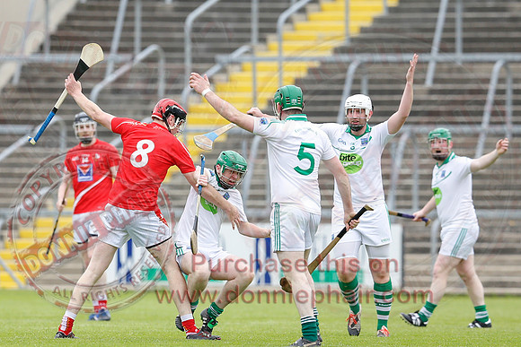 Fermanagh (1-15) V Louth (2-8) in Nicky Rackard Promotion Play-off.