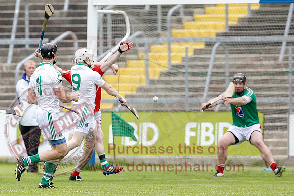 Fermanagh (1-15) V Louth (2-8) in Nicky Rackard Promotion Play-off.