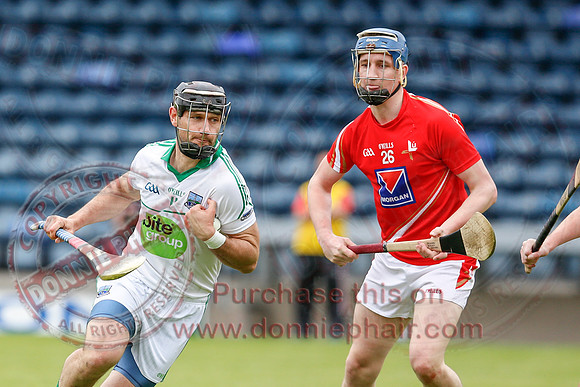 Fermanagh (1-15) V Louth (2-8) in Nicky Rackard Promotion Play-off.
