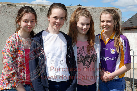 Fermanagh Fleadh - Parade and Gig Rig in the Park, Newtownbutler.-27