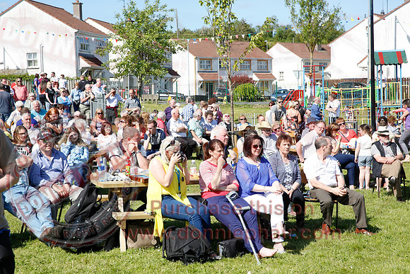 Fermanagh Fleadh - Parade and Gig Rig in the Park, Newtownbutler.-39