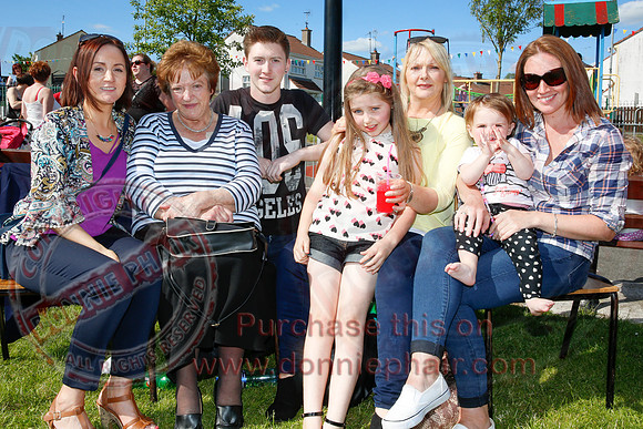 Fermanagh Fleadh - Parade and Gig Rig in the Park, Newtownbutler.-47