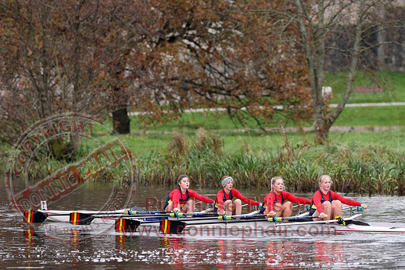 Erne Head of the River Rowing-16