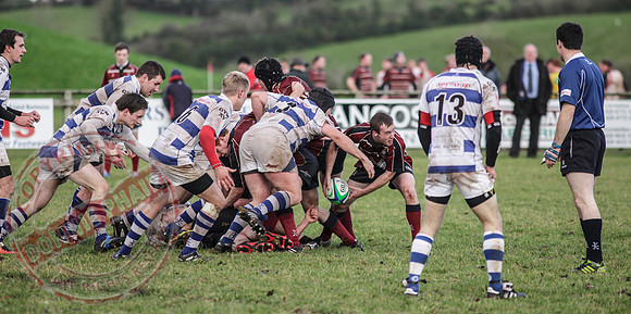 Enniskillen 1st XV (17) V Dungannon 2nd XV (5) Quarter Final of Rugby Junior Cup