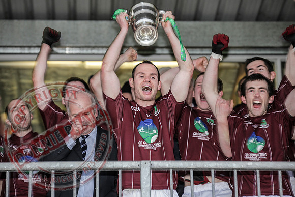 Tempo (1-9) V Lisnaskea Emmetts (0-5) in Division 1 GAA League Final played in Brewster Park.