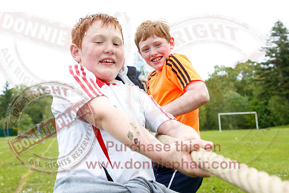 Florencecourt Primary School Summer Fair.