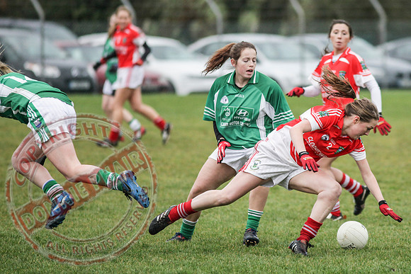 Newtownbutler First Fermanagh's Senior Ladies (3-4) V Cahir of Tipperary (5-9) in Tesco All Ireland Intermediate Ladies Semi-Final