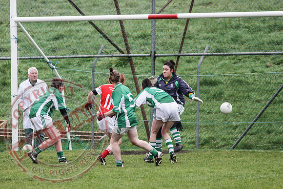 Newtownbutler First Fermanagh's Senior Ladies (3-4) V Cahir of Tipperary (5-9) in Tesco All Ireland Intermediate Ladies Semi-Final