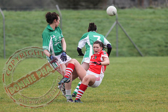 Newtownbutler First Fermanagh's Senior Ladies (3-4) V Cahir of Tipperary (5-9) in Tesco All Ireland Intermediate Ladies Semi-Final