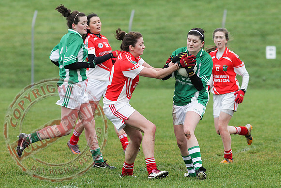 Newtownbutler First Fermanagh's Senior Ladies (3-4) V Cahir of Tipperary (5-9) in Tesco All Ireland Intermediate Ladies Semi-Final