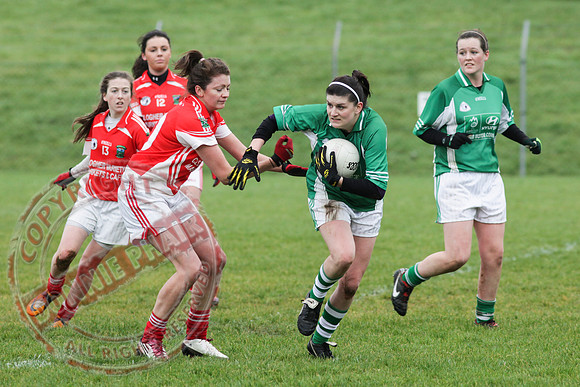 Newtownbutler First Fermanagh's Senior Ladies (3-4) V Cahir of Tipperary (5-9) in Tesco All Ireland Intermediate Ladies Semi-Final