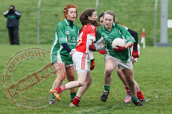 Newtownbutler First Fermanagh's Senior Ladies (3-4) V Cahir of Tipperary (5-9) in Tesco All Ireland Intermediate Ladies Semi-Final