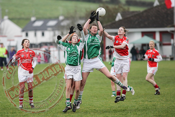Newtownbutler First Fermanagh's Senior Ladies (3-4) V Cahir of Tipperary (5-9) in Tesco All Ireland Intermediate Ladies Semi-Final