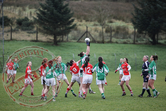 Newtownbutler First Fermanagh's Senior Ladies (3-4) V Cahir of Tipperary (5-9) in Tesco All Ireland Intermediate Ladies Semi-Final