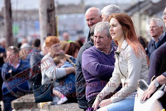 Fermanagh Fleadh Cultural Community Parade in Roslea-48