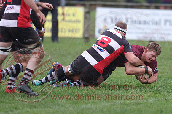 Enniskillen 1st XV (21) V Cooke 1st VX (12) in Ulster Rugby Championship Division One-12