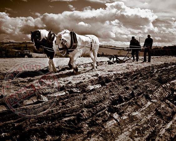 "Ploughing the Field of Ireland"