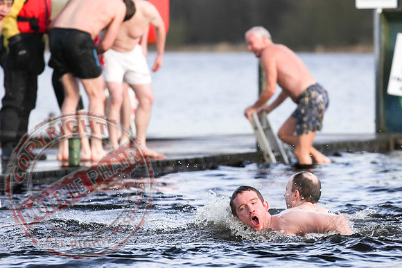 Galloon Island Charity Swim on New Year's Day.